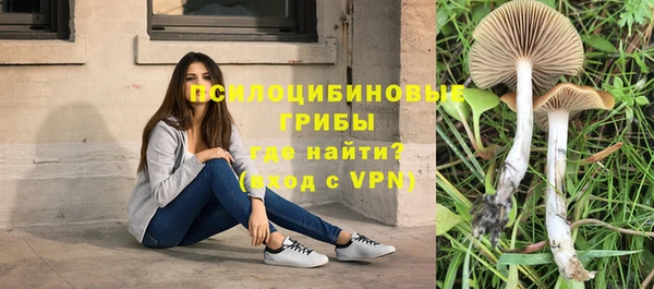 мяу мяу кристалл Богданович