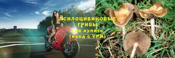 первитин Бородино