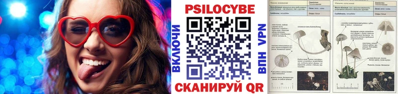 Псилоцибиновые грибы мицелий  blacksprut как зайти  Отрадная 